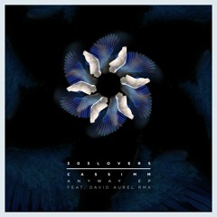CASSIMM - Give Me Some (David Aurel Remix)