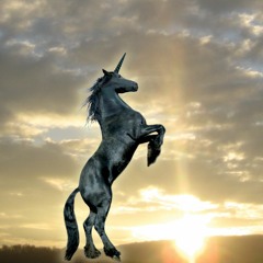 Licorne Noire (Black Unicorn)