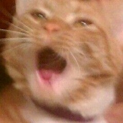 softer dnb tunes i could both dance and study to