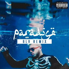 Hamza - Paradise (BLV Remix)