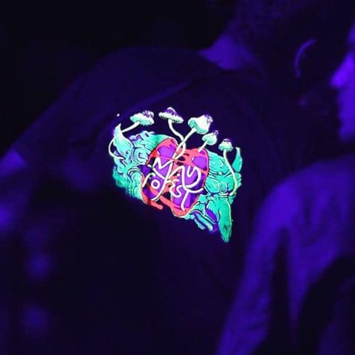 Stoned Jaci - New Knowledges Acquired