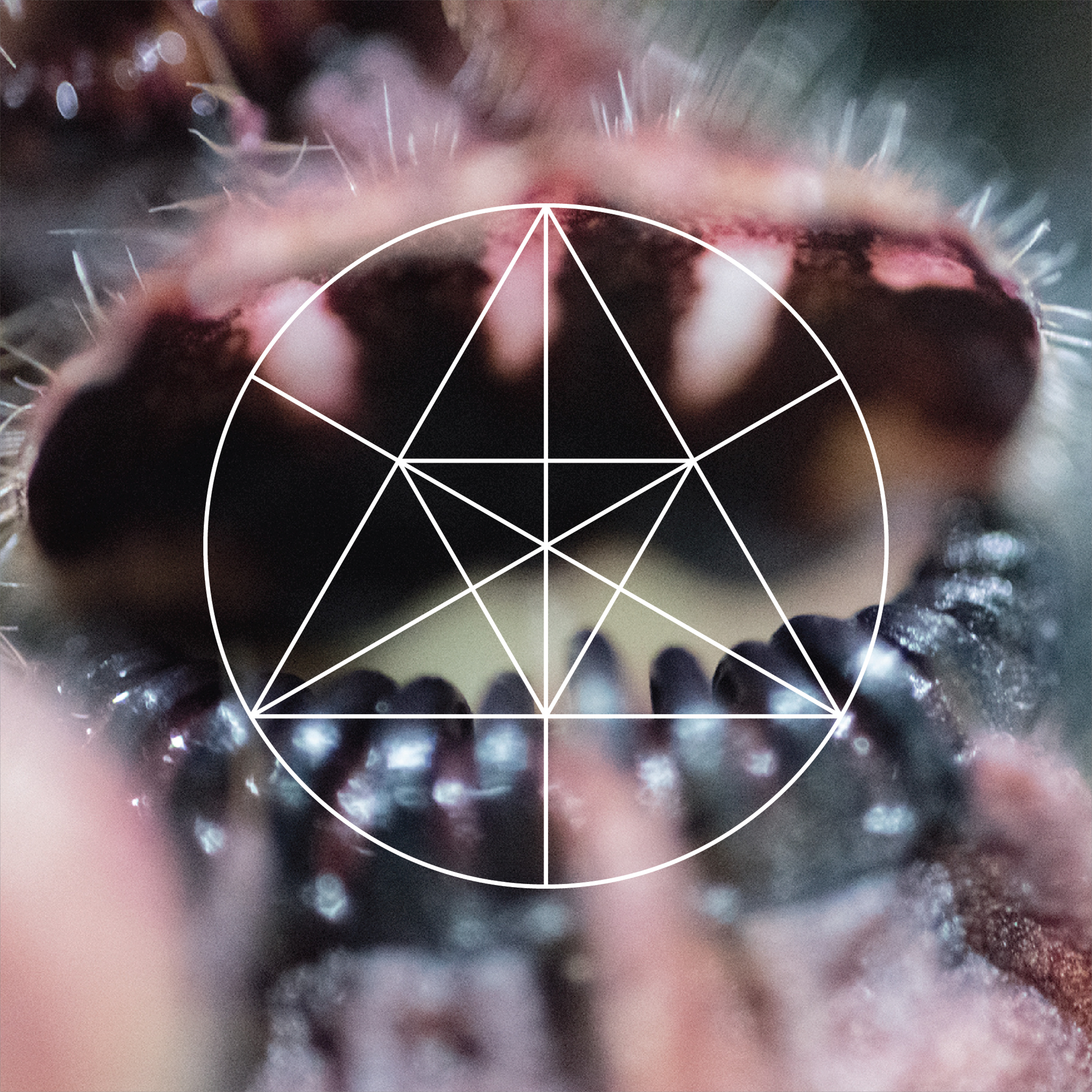 Mysteries of the Deep