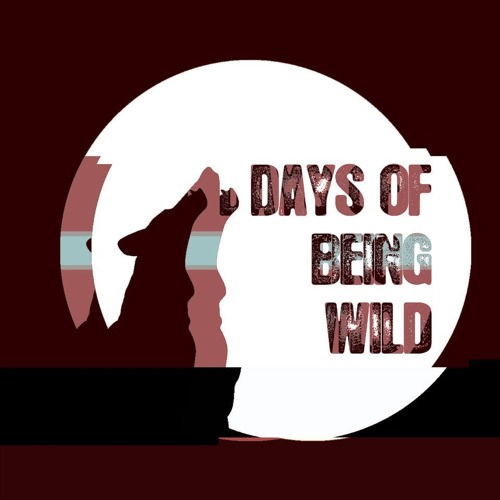 PREMIERE | Club Bizarre - Music Machine [Days Of Being Wild] 2019