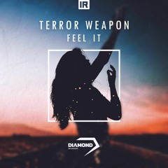 Terror Weapon - Feel It (Radio Edit )