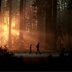 Seyr - Colour To Colour (Life Is Strange 2 Launch Trailer Song)
