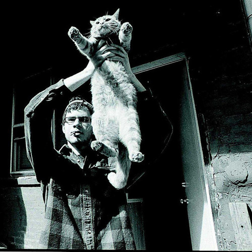 Snowing - Damp Feathers