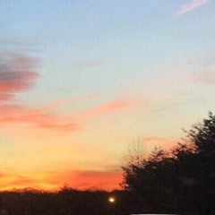 Hide and smoke my weed (feat.Wxlli) prod. Kofi Bae