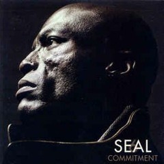 Seal "Best of Me" (Radio UK Remix - Bill Hamel, AK1200, & Seth Vogt)