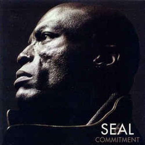 Seal "Best of Me" (Radio UK Remix - Bill Hamel, AK1200, & Seth Vogt)