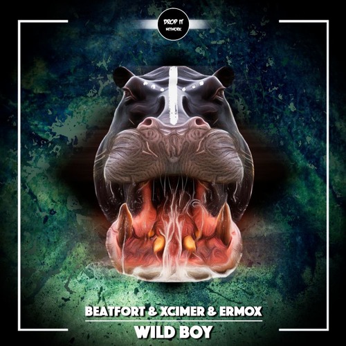 BeatFort & XCIMER & ERMOX - Wild Boy [DROP IT NETWORK EXCLUSIVE]