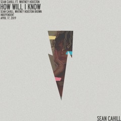 how will i know ft. whitney houston