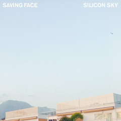 Silicon Sky