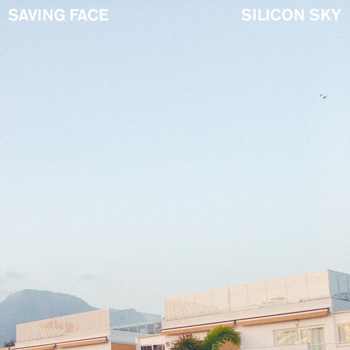 Silicon Sky