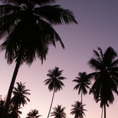 the ellie badge (lofi) -  boquin beatz