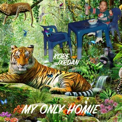 ZEBRA (Prod. J. Stew)