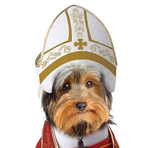 The Son Ranto Show Dog Is God By Danny Rockett The Son Ranto Show Dog Is God By Danny Rockett