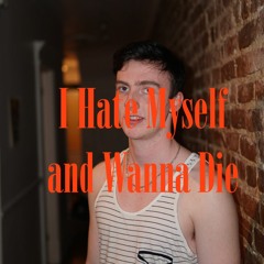 Nirvana - I Hate Myself And Wanna Die (Cover)