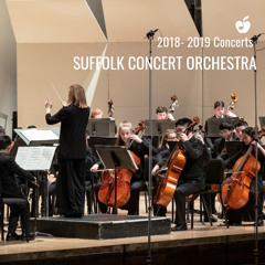 Into The Storm (Suffolk Concert Orchestra)