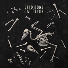 Bird Bone