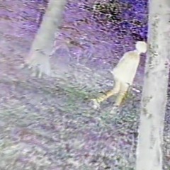 chris vayle—passed that (prod. @1mikefrost)