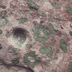 04172019 Primitive Radio Dog