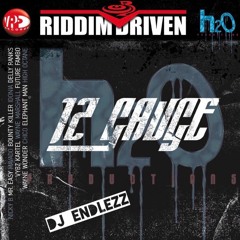 12 Gauge Riddim Mix