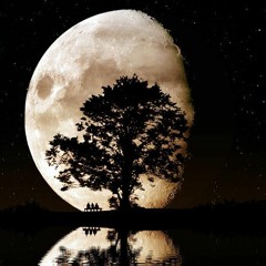 Its Okay to Like Alternative Bass Vol. 1 (LLXXX Promo Mix)