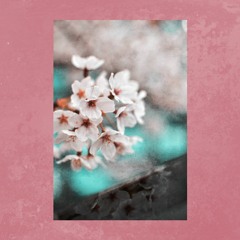 Pink Flowers