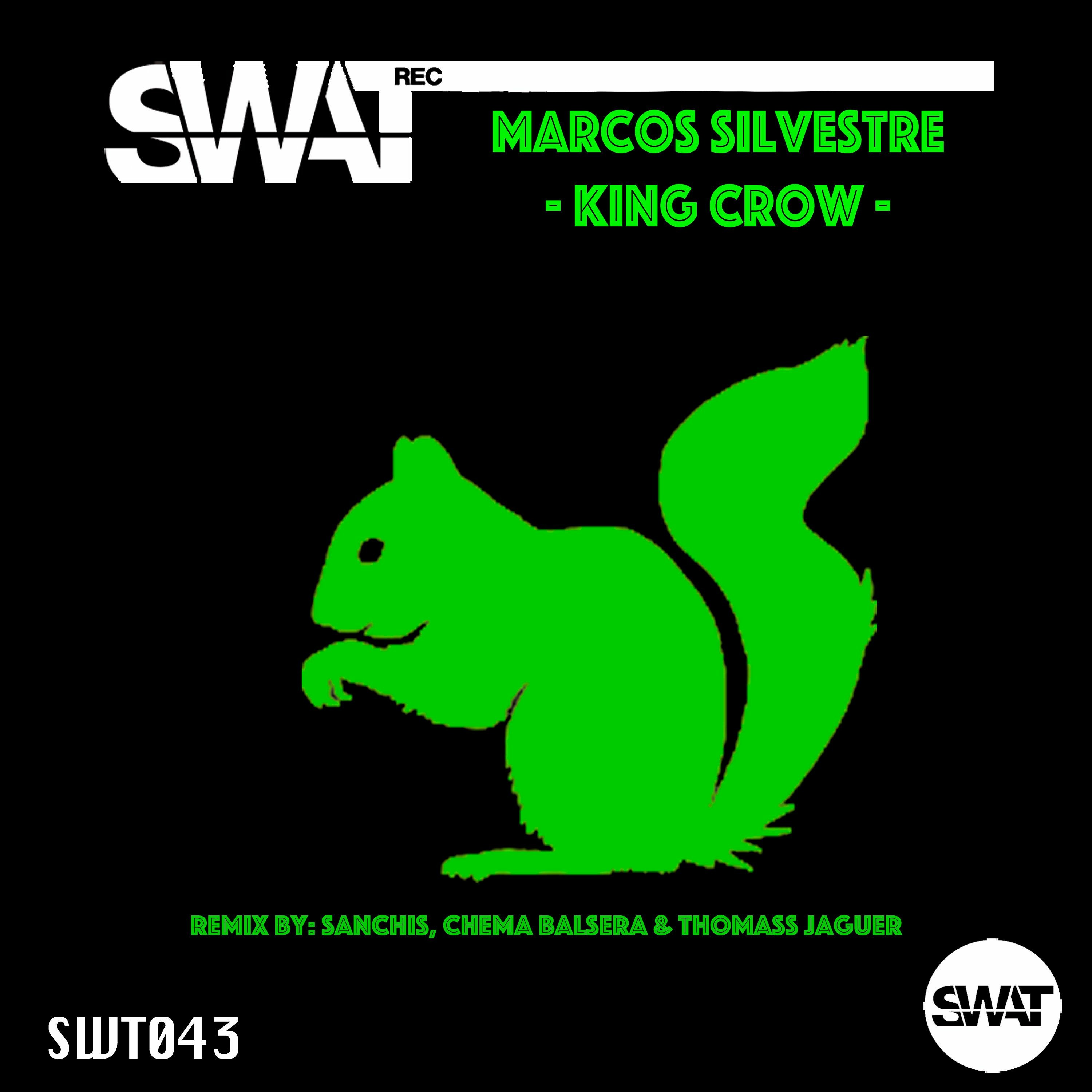 Marcos Silvestre