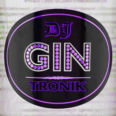 DJ Gin Tronik - Purple Bass