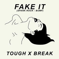 Fake It - TXB (Spank Rock - Bump)
