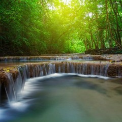 Awareness of Breath by Aarathi Selvan