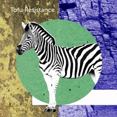 Nambuka Chileka - Ndayeya Mbwakeenda Taata [Tofu Resistance Edit]