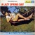 Artwork for A Lazy Spring Day (Better in slow motion)