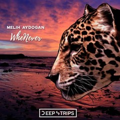 Melih Aydogan - Whenever (Original Mix)