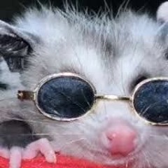 I WAS MADE FOR LOVING YOU (SAVLONIC) TOTHEFLOOR BOOTLEG