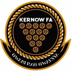 Brazil 1 Kernow 4 - Kernow's journey into international football