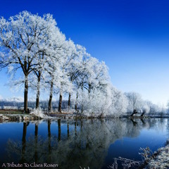 A Tribute to Claes Rosen
