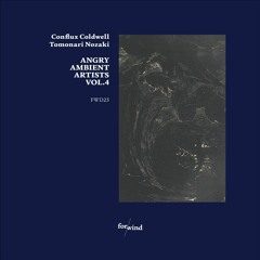 Angry Ambient Artists Vol.4