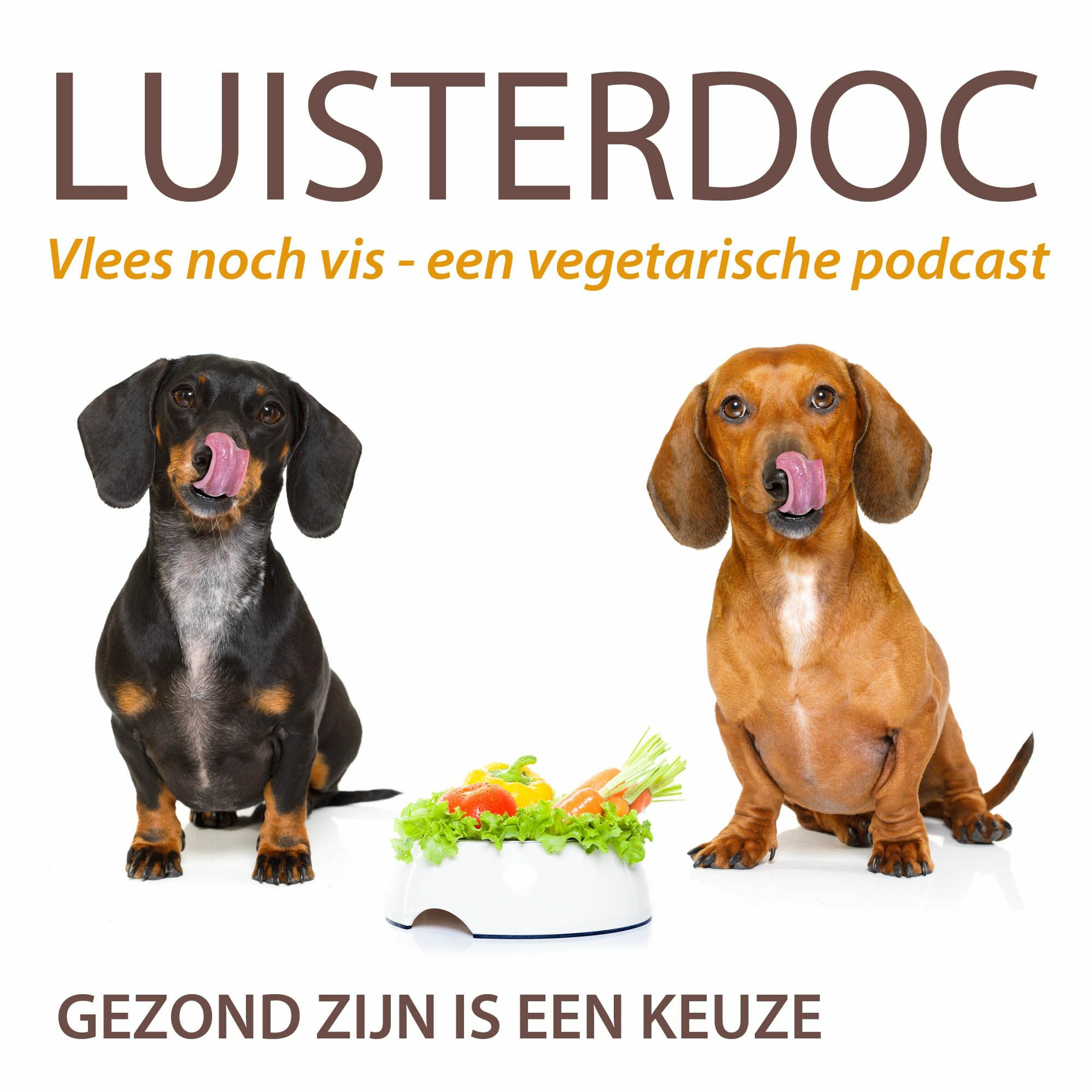Luisterdoc