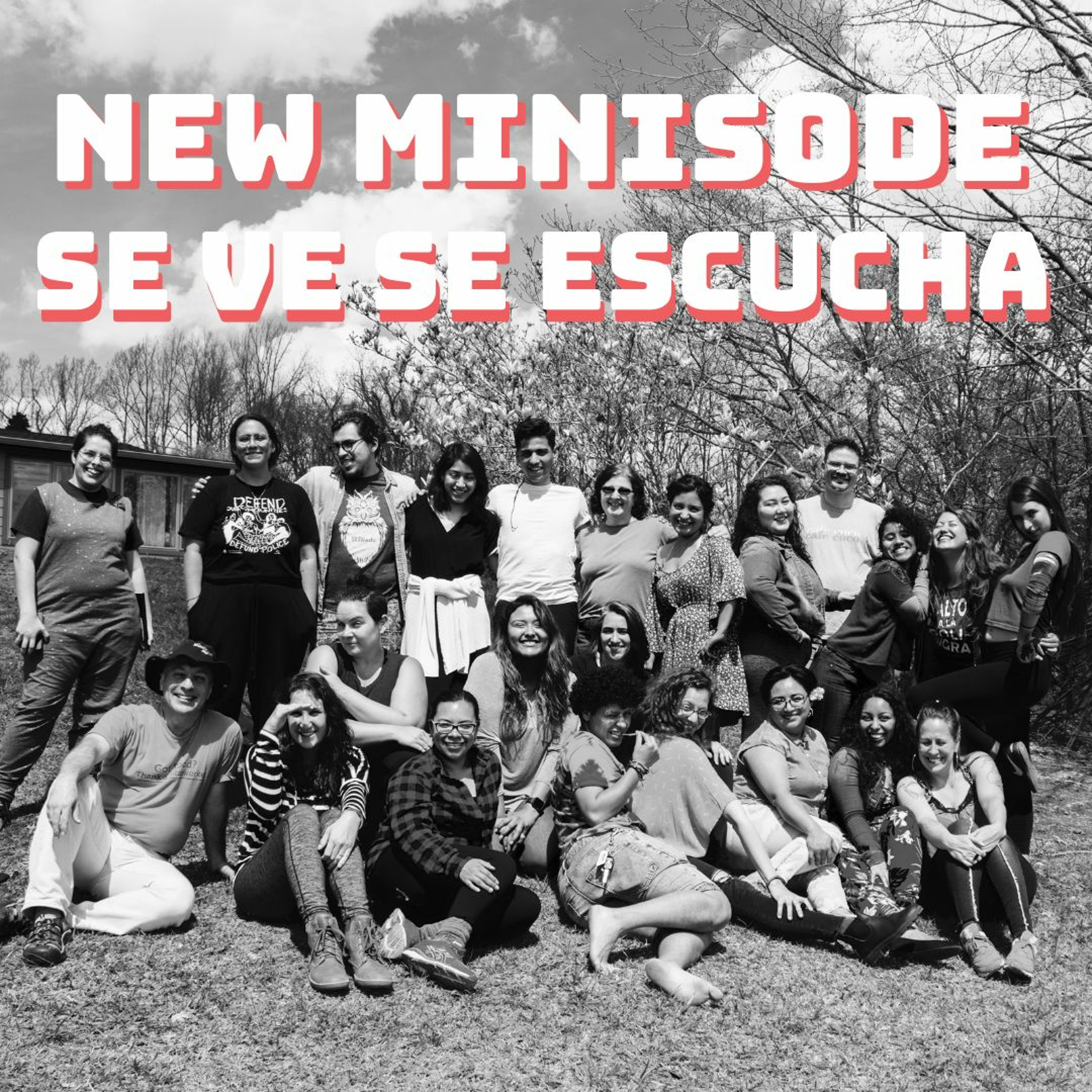 Se Ve Se Escucha