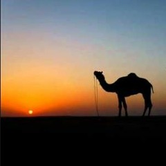 مواويل-ريتْ النجمه-ڨَدّاشْ المجروح يدِسّْ