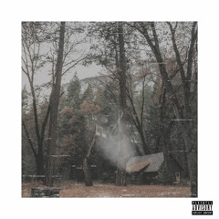 Sooner Than Later - Cabin Crew