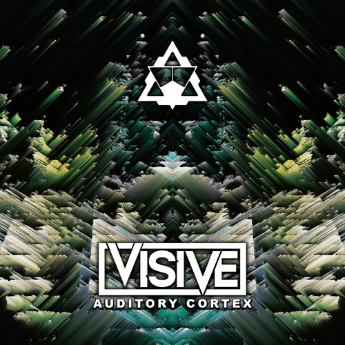 Auditory Cortex
