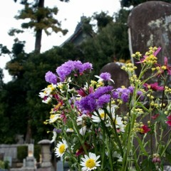 彼岸西風