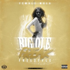 Big Ole Freak (Mula mix)