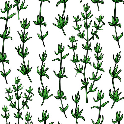 LdK - Once upon a thyme