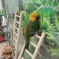 welcome to the jungle