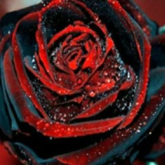 J Lyrics ft. Arkansas Duce..BLACKROSE