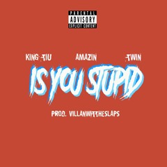 "Is You Stupid"   Ft. Amazin And DoughHuntTwin